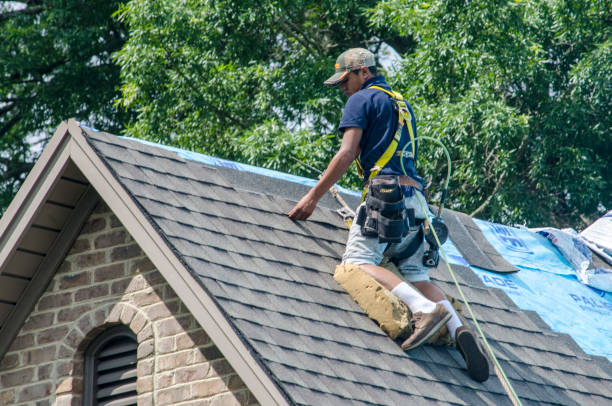 Best Roof Gutter Cleaning  in North Bend, WA